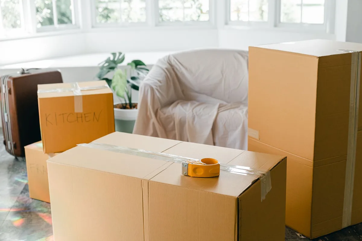Hoarding Cleanup in Willows, CA